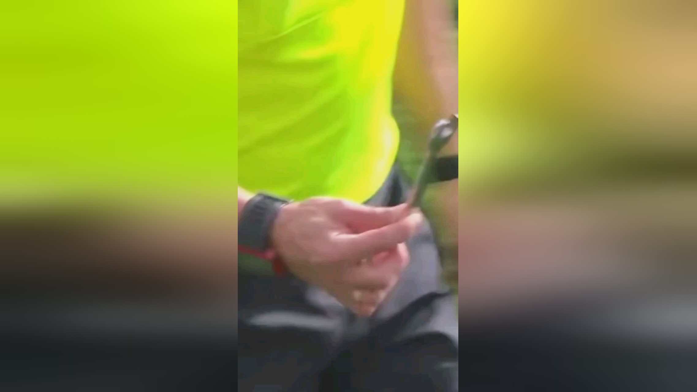 球队赢得